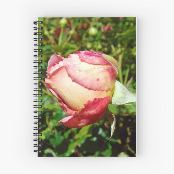 Item preview, rose bud designed and sold by KathleenDawson.