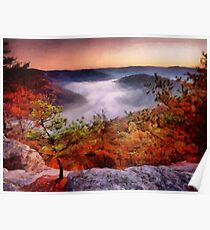 Foggy Morn - Red River Gorge Poster