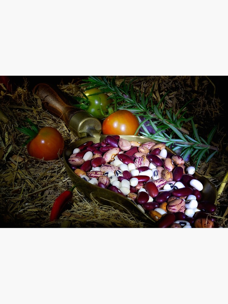 Still life beans & vegetable by fardad
