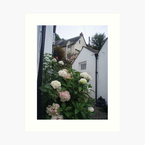 Item preview, Clovelly Garden designed and sold by Neill Parker.