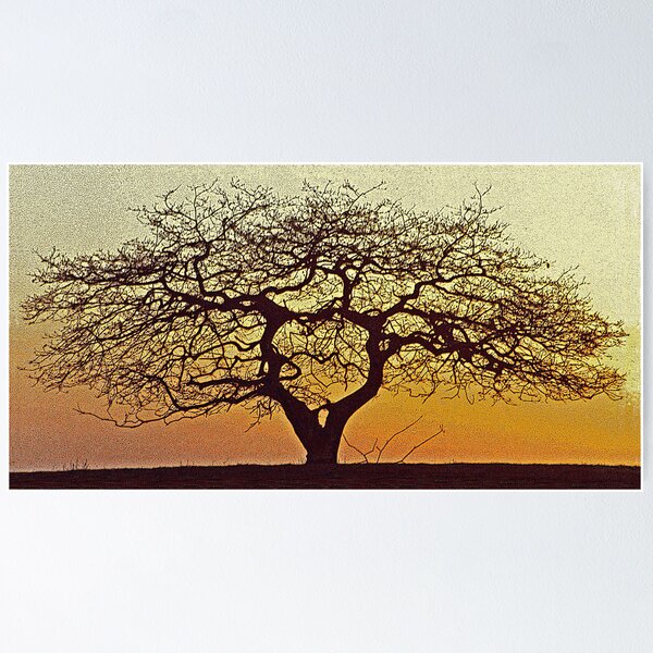 Item preview, Symmetrical Tree designed and sold by Mike  Waldron.