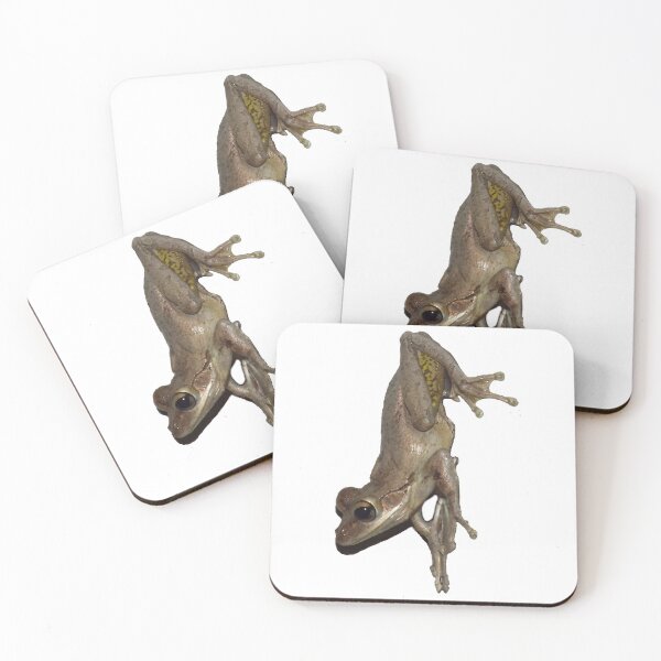Item preview, Frog 2 designed and sold by Photosinic.