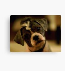 You talkin' to me? Canvas Print