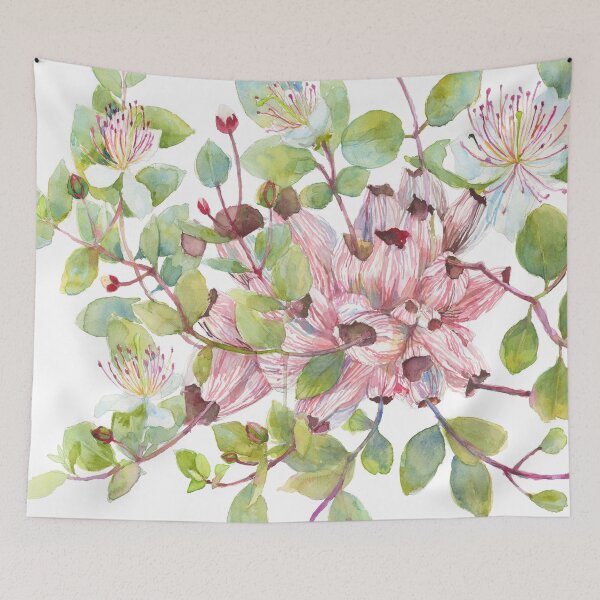 Item preview, Capers Bush, Pink Flowers, Floral Art, Botanical Art, Corals designed and sold by thefirstgarden.