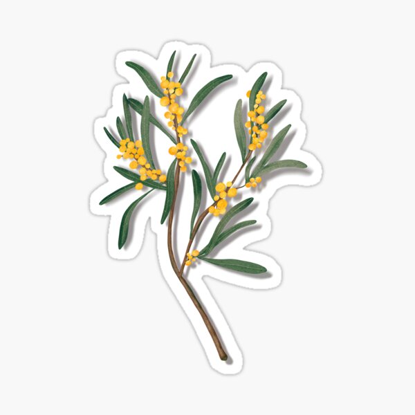 Item preview, Australian wattle designed and sold by jessicadb.
