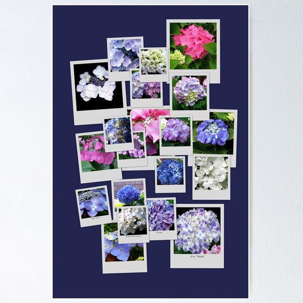 Item preview, THESE ARE A FEW OF MY FAVORITE THINGS designed and sold by Joan Harrison.