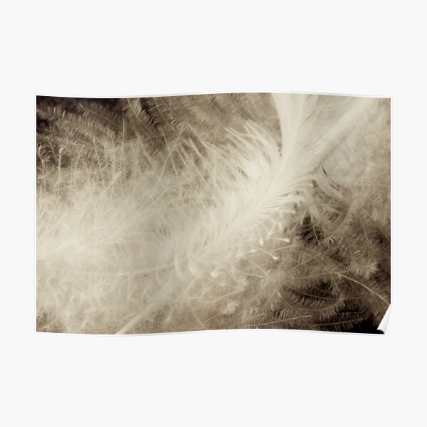light light Poster