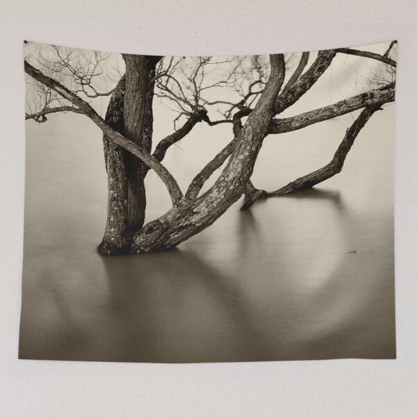 Item preview, Flooded trees designed and sold by Dave Hare Photography.