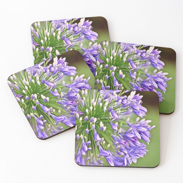 Item preview, Agapanthus (African Lily) designed and sold by RoxanneG.