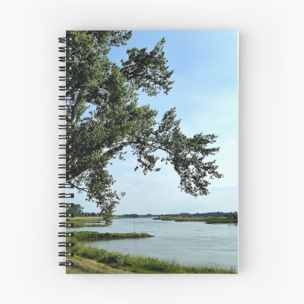 Item preview, The old tree at the river designed and sold by jchanders.