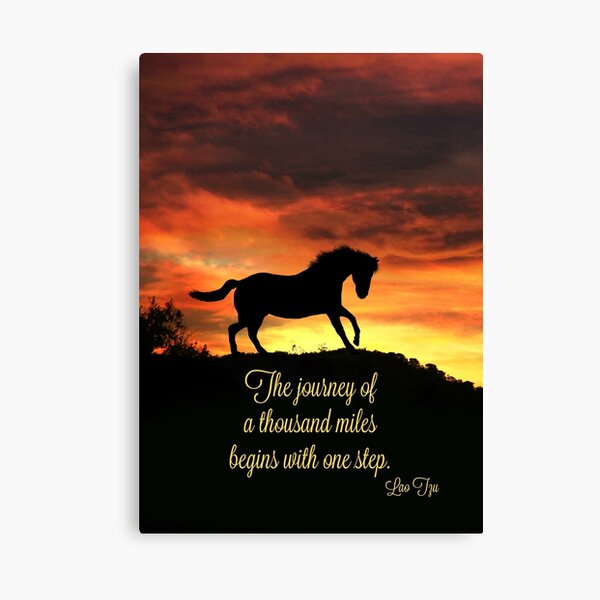 Horse Inspirational Motivational Lao Tzu Famous Quotes Canvas Print By Lazyl Redbubble