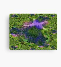 Make A Wish Canvas Print