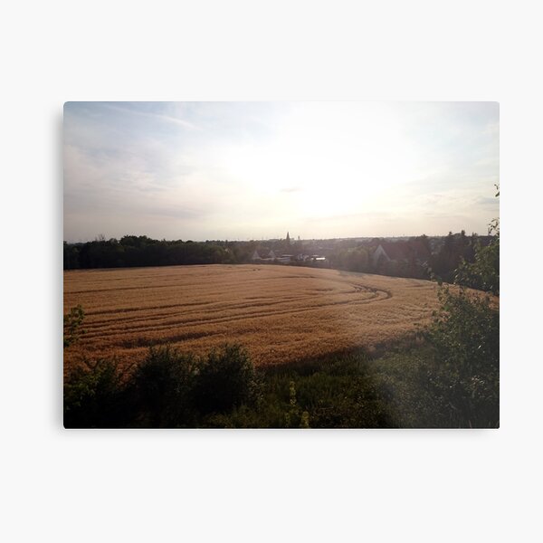 Baalberge, Landschaftsbild Metallbild