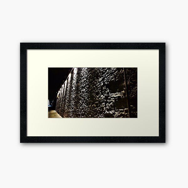 Framed Print