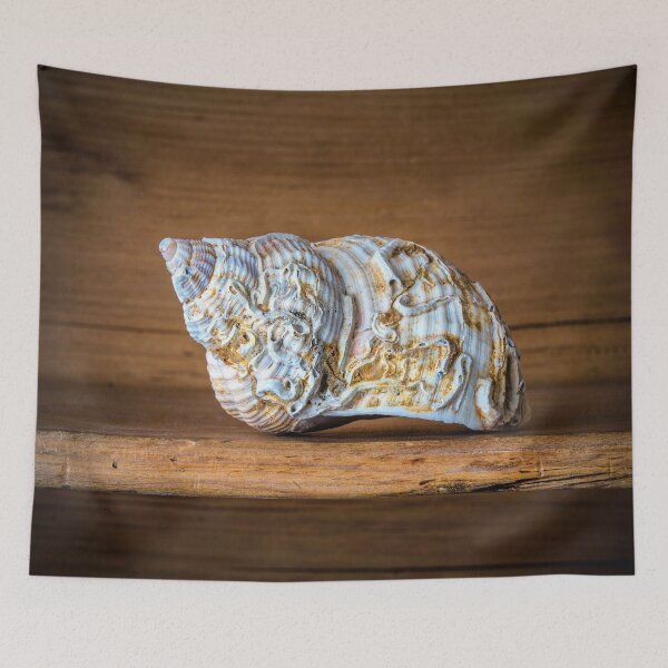 Item preview, Strange Shapes designed and sold by Dave Hare Photography.