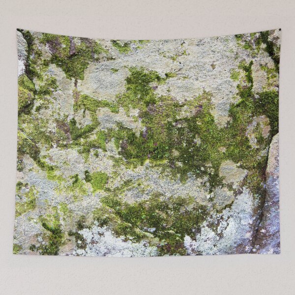 Item preview, Moss on stone Textures 23 designed and sold by Dave Hare Photography.