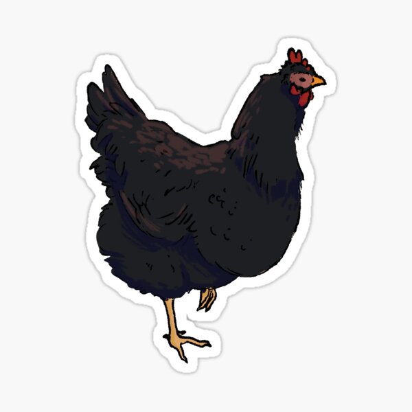 Australorp Chicken Sticker