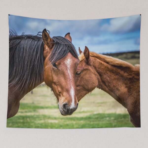 Item preview, Mother and son designed and sold by Dave Hare Photography.