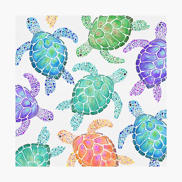 Item preview, Turtle pattern (colour) designed and sold by ellenshawdesign.