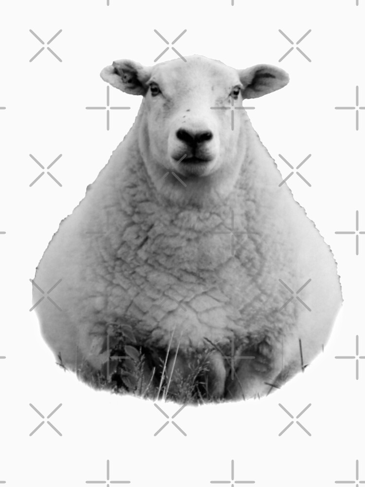 Black and White Sheep in Field by tribbledesign
