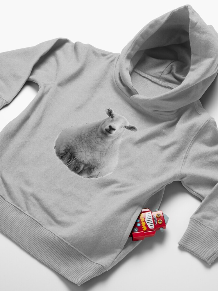 Alternate view of Black and White Sheep in Field Toddler Pullover Hoodie