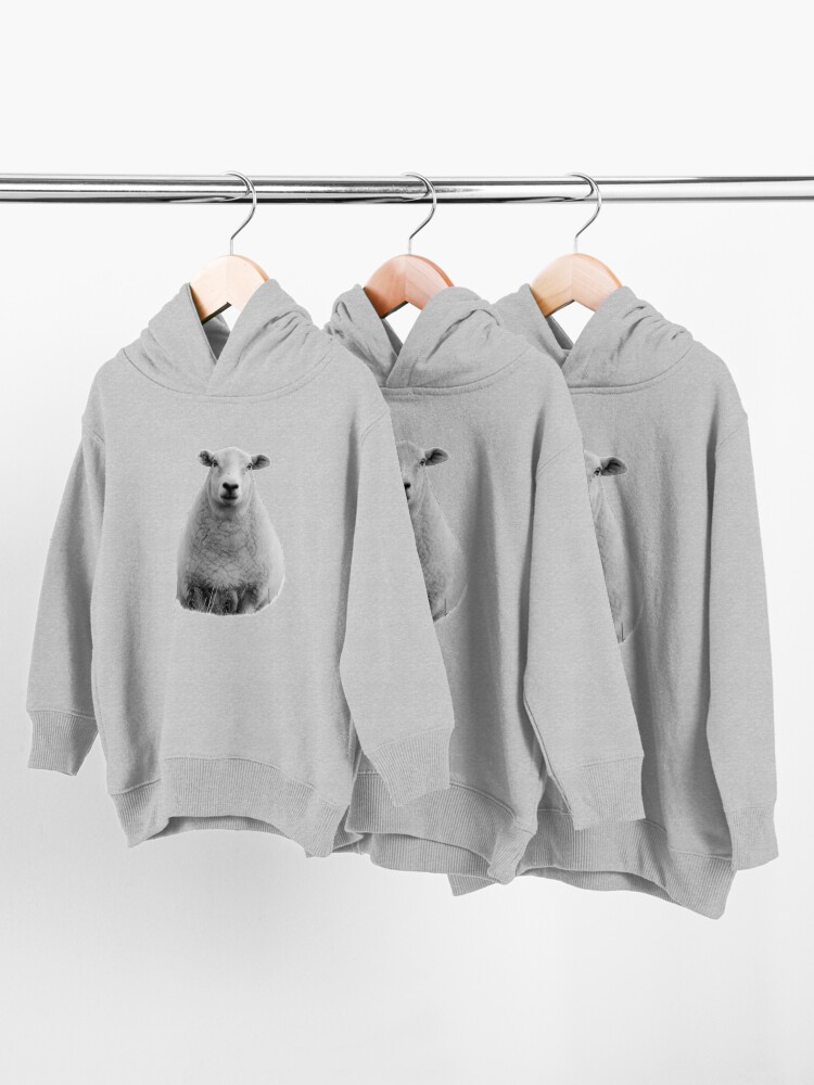 Alternate view of Black and White Sheep in Field Toddler Pullover Hoodie