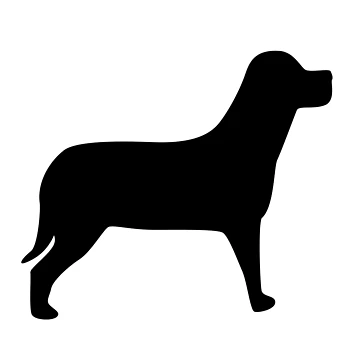 Artwork thumbnail, Black Labrador by Ricaso