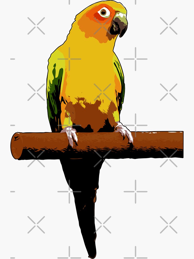 Thumbnail 3 of 3, Sticker, Sun Conure Vector designed and sold by tribbledesign.