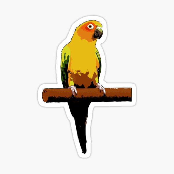 Sun Conure Vector Sticker