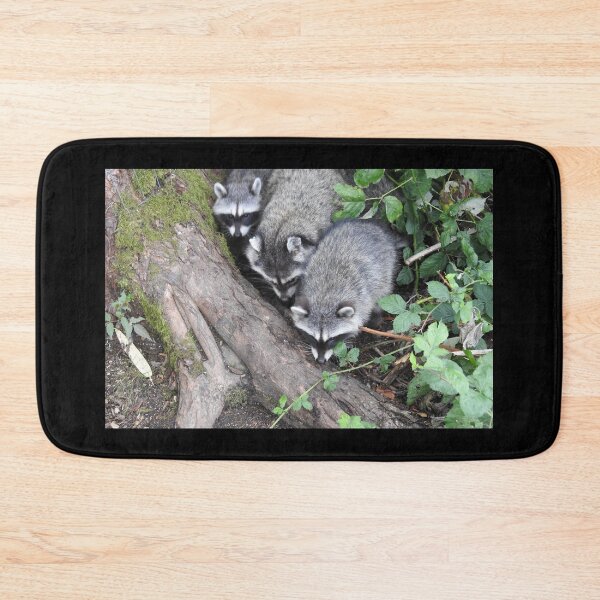 Item preview, Three little raccoons all in a row designed and sold by RichImage.