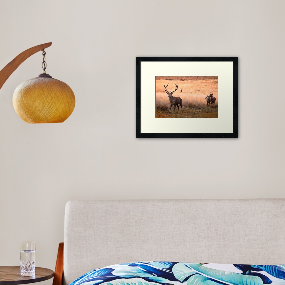 Follow the Leader Framed Art Print