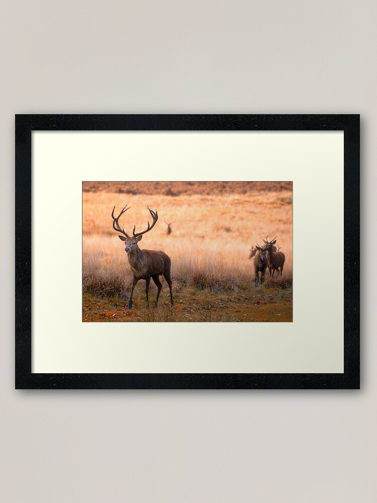 Alternate view of Follow the Leader Framed Art Print