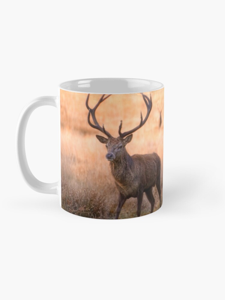 Alternate view of Follow the Leader Mug