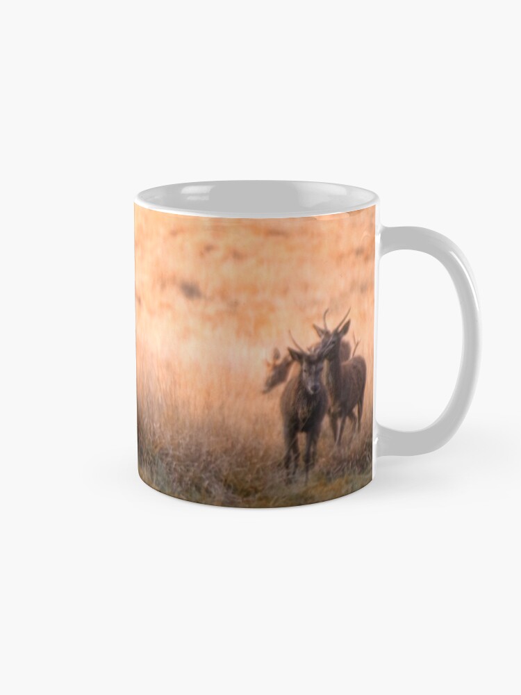 Alternate view of Follow the Leader Mug