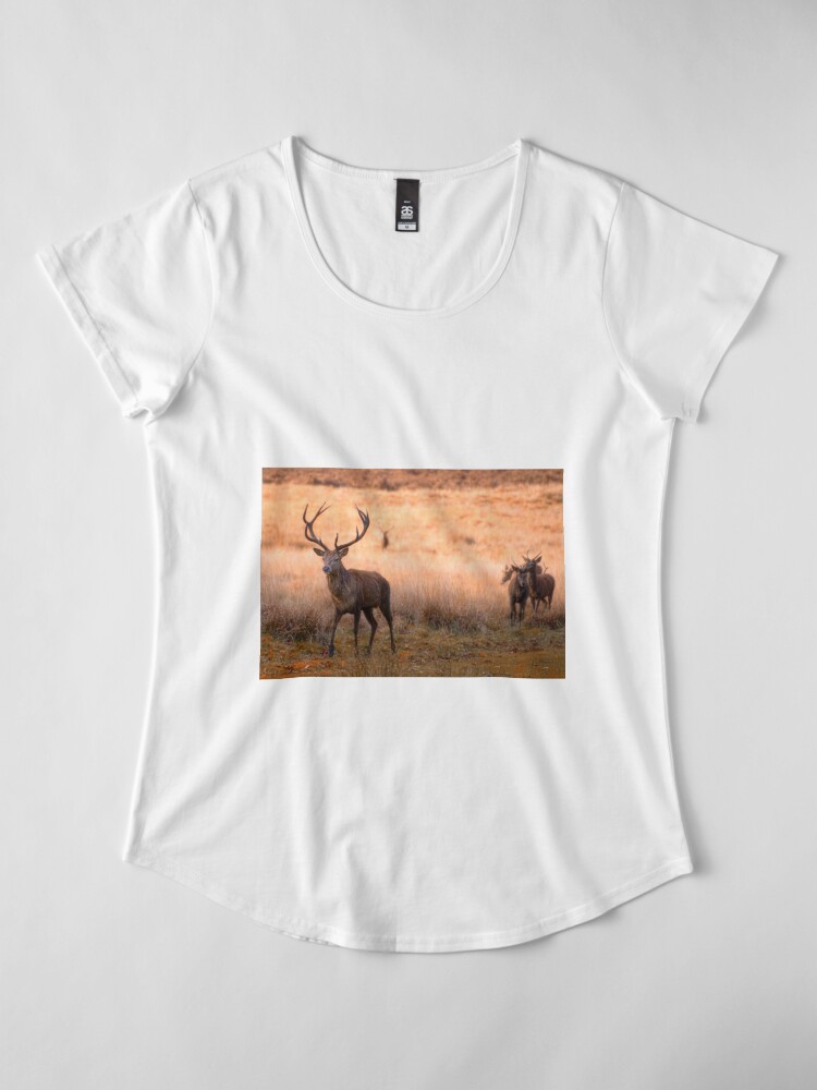 Alternate view of Follow the Leader Premium Scoop T-Shirt