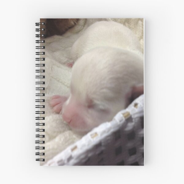 Item preview, Tiny puppy 2 designed and sold by Kavie1970.