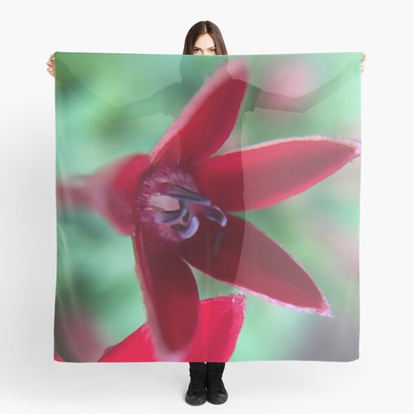 Red Penta Blossom close up Scarf