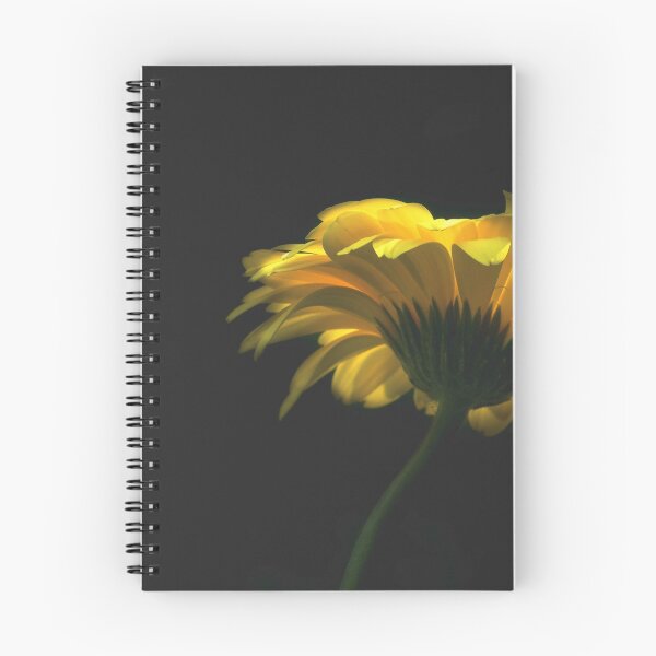 Item preview, be thoughtful be kind be beautiful designed and sold by Dawn Estes.