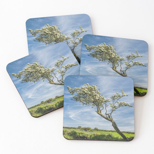 Item preview, Mountain Ash Tree Spring Pembrokeshire West Wales close to Pentre Ifan Burial Chamber designed and sold by Cameranick.