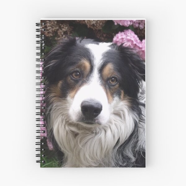 Item preview, Pretty in Pink designed and sold by Michael Haslam.