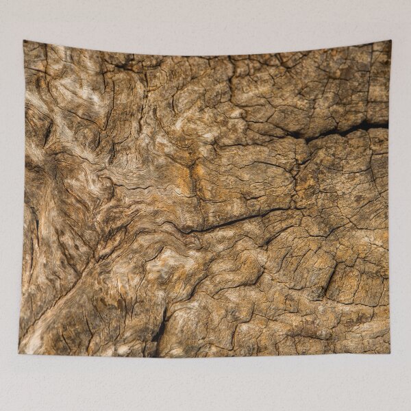 Item preview, Ancient Timber designed and sold by Dave Hare Photography.