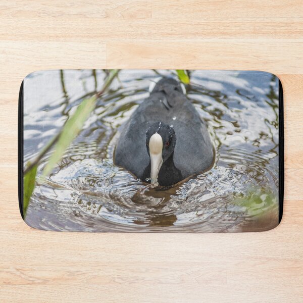 Item preview, Hawaiian coot in Honolulu designed and sold by KensLensDesigns.