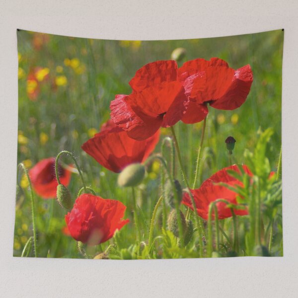 Item preview, Poppies in Yorkshire designed and sold by Dave Hare Photography.