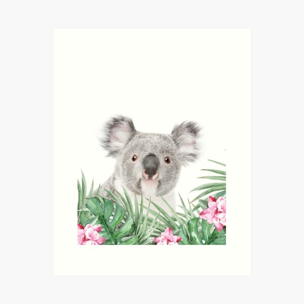 Koala Leaves Art Prints for Sale