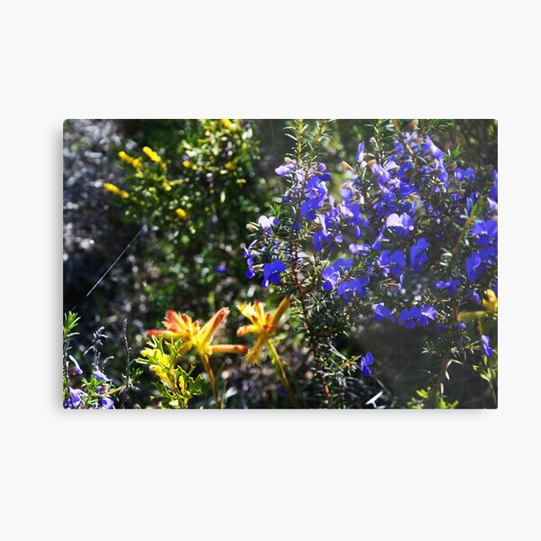 Item preview, Wonderful colour in the Aussie bush designed and sold by georgieboy98.