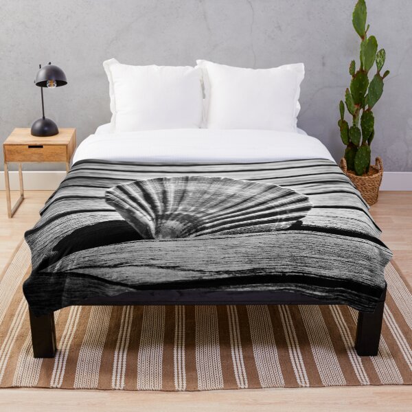 Item preview, Scallop Shell and Timber designed and sold by Dave Hare Photography.