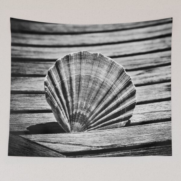 Item preview, Scallop Shell and Timber designed and sold by Dave Hare Photography.