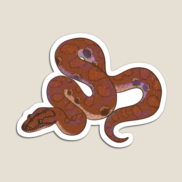 Brazilian Rainbow Boa Gifts & Merchandise | Redbubble