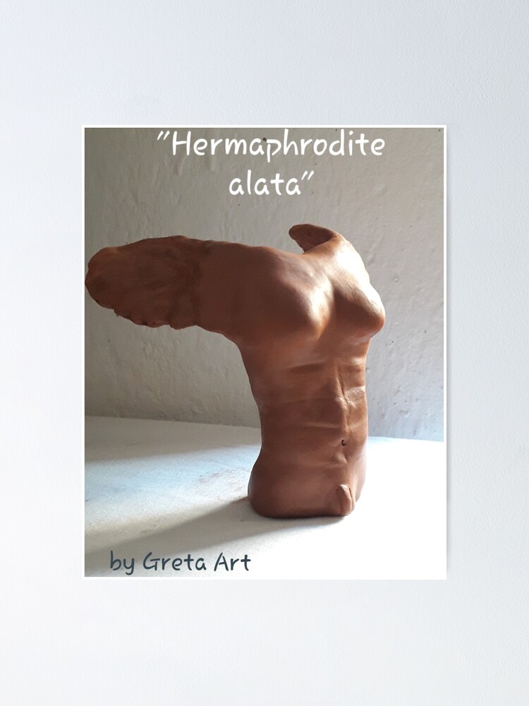 Hemaphrodites 