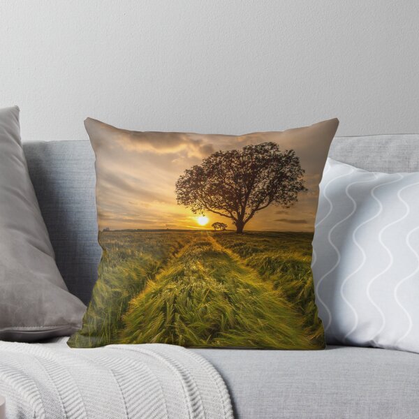 Aperçu de l'œuvre Coucher de soleil d'été 2 créée et vendue par Derek Smyth.